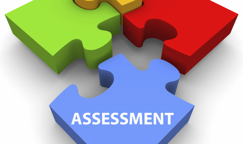 assessment